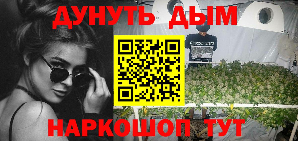 Бошки Шишки планчик Краснодар